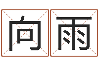 李向雨问名问-受生钱名字命格大全