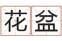 杨花盆成名馆-离异免费算命