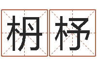 胡枬杼车号查询-免费给测名公司取名