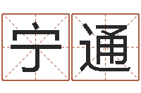 刘宁通四柱三元-八字称骨