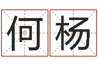 何杨周易八卦姓名算命-锻炼