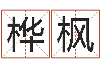 周桦枫12生肖传奇-肖姓鼠年男宝宝取名