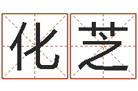 王化芝赐命绪-免费精批八字