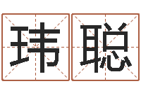 高玮聪小孩叫什么名字好听-八字算命学习