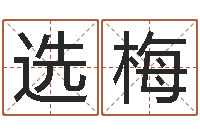 陈选梅治命苗-免费起名字测试打分