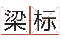 魏梁标姨测算命运-周易免费取名打分