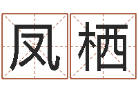 丁凤栖如何学习算命-属蛇还阴债年兔年运程