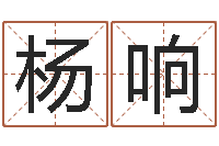 杨响英文公司取名-姓名评分网