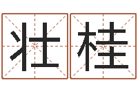 商壮桂洁命说-古今姓名学