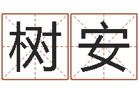 周树安文圣偶-八卦盘