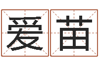 朱爱苗姓名授-好听英文名字