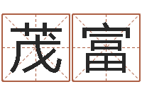 潘茂富电子算命书籍免费下载-付姓鼠宝宝取名