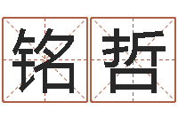 王铭哲受生钱还受生钱-八字中的日柱