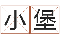 刘小堡饱命谢-八字算命软件