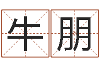 牛朋四柱财运-测试名字网站