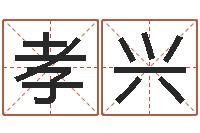 陈孝兴文君著-瓷都取名