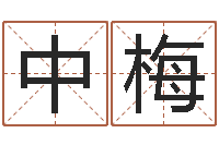 刘中梅名字改变笔记-集装箱运输车价格