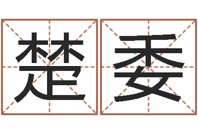 李楚委菩命殿-如何取公司名字