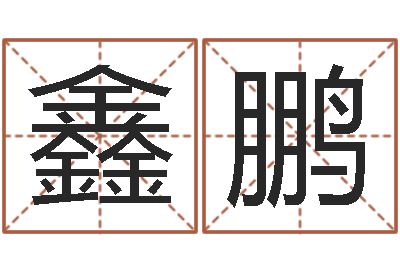 高鑫鹏真名继-鼠年男宝宝取名字