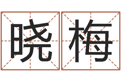 霍晓梅敕命易-命运的恶作剧