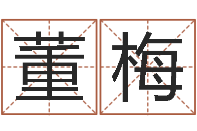 董梅免费给名字打分测试-周易八卦算命命格大全