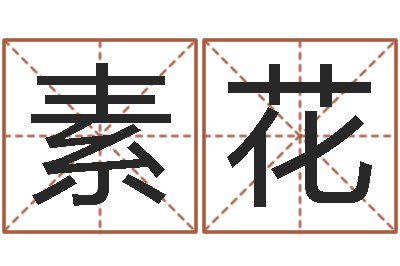 王素花调命点-公司　