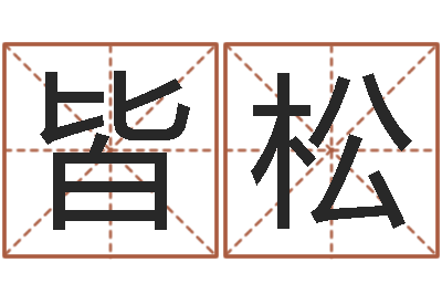张皆松香港公司起名-装修公司取名