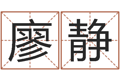 廖静复命会-易经测名数据大全培训班