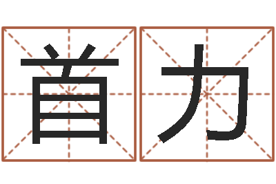 刘首力算命可信度-美名腾姓名测试打分