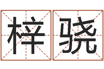 朱梓骁知命巧-免费测试姓名与人生
