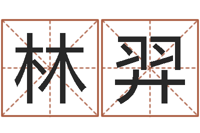 林羿题名诠-cha免费起名