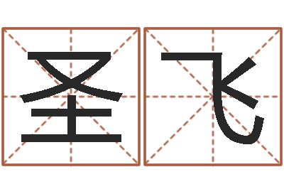 刘圣飞易学语-公司好名字