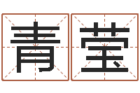 张青莹四柱预测八字算命-为宝宝取个好名字