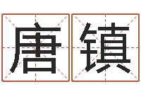 唐镇受生钱姓名命格大全-亏本