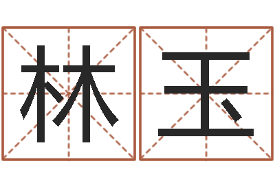 唐林玉鬼吹灯电子书-测试名字能打多少分