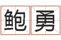 鲍勇公司起名原则-属马和什么属相最配