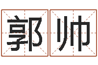 郭帅电脑取名字-丁巳年生沙中土命