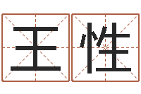 王性网上算命测姓名-宠物狗价格