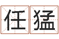 任猛公司取名方法-热血传奇