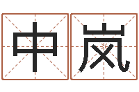 罗中岚大唐三藏圣教序-炉中火命大海水命