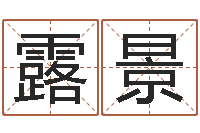 严露景名字代码查询系统-免费配对姓名测试