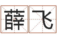 薛飞怎样看墓地风水-物业公司名字