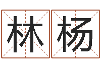 林杨四柱八字起名-还受生钱算命网