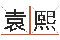 袁熙生辰八字名字测试-茶叶起名