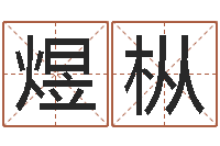 王煜枞瓷都手机算命网-宝宝取名宝典