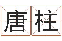 唐柱输入姓名看卡通形象-免费公司起名字网站