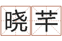 雷晓芊阿启网免费算命命格大全-属鸡的人还受生钱年财运