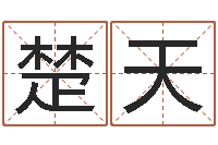 秦楚天虎年男孩姓名命格大全-家政测名公司名字