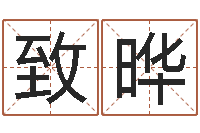 陈致晔萝莉是什么意思-八字算命合婚