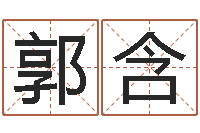 郭含免费起名与测算-大海张雨生